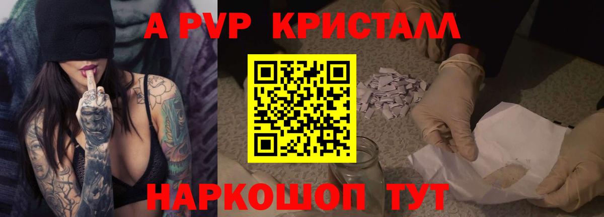 Альфа ПВП СК КРИС Избербаш